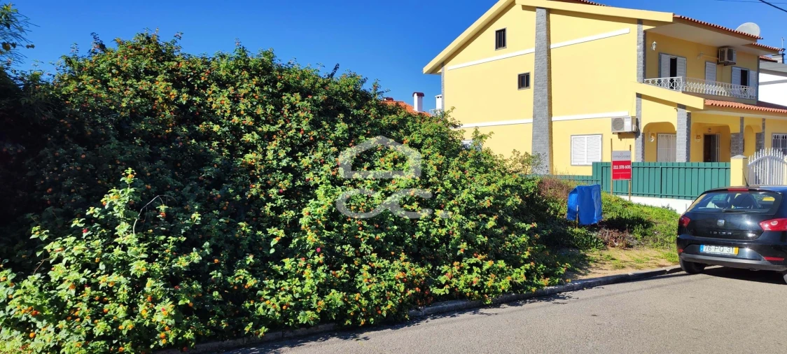 Terreno para Venda em Amora Foto 3