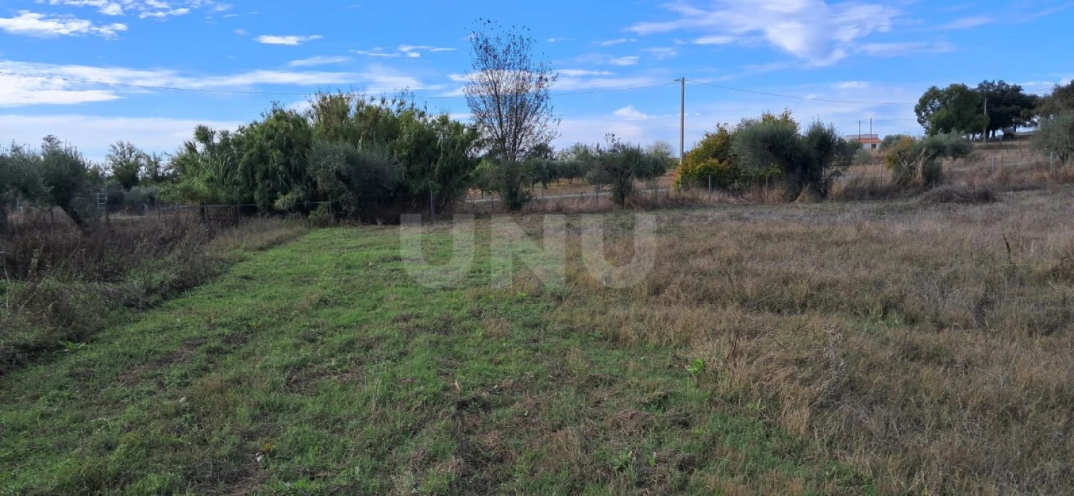 Terreno para Venda em Vila Nova da Baronia Foto 15