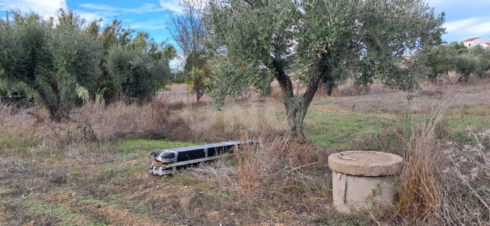 Terreno para Venda em Vila Nova da Baronia Foto 16