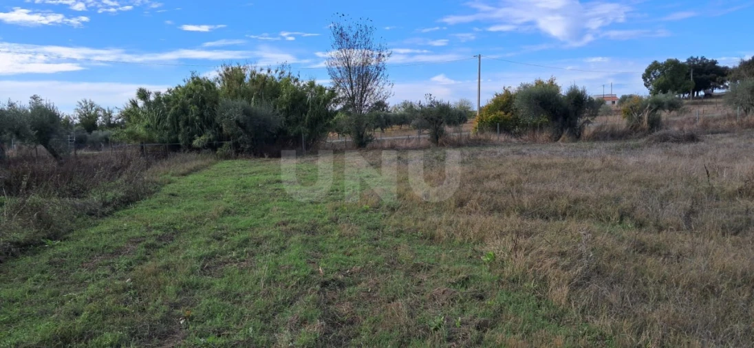 Terreno para Venda em Vila Nova da Baronia Foto 15