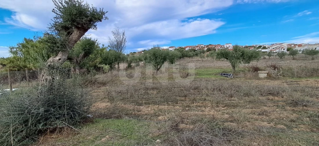 Terreno para Venda em Vila Nova da Baronia Foto 17