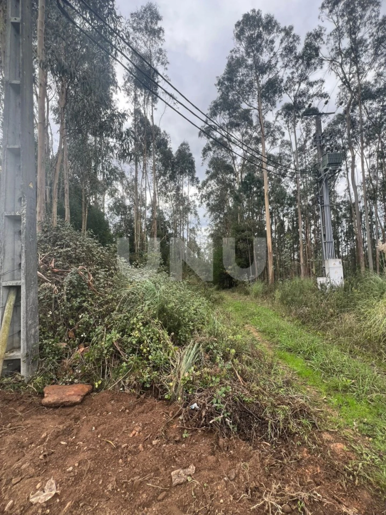 Terreno Agricola ou Rústico para Venda em Ovar, São João, Arada e São Vicente de Pereira Jusã Foto 2