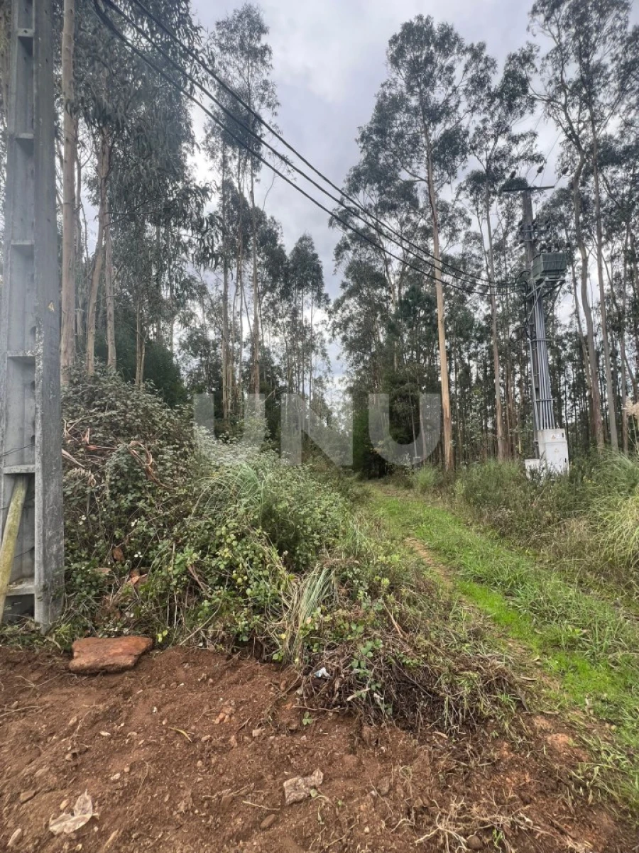 Terreno Agricola ou Rústico para Venda em Ovar, São João, Arada e São Vicente de Pereira Jusã Foto 2