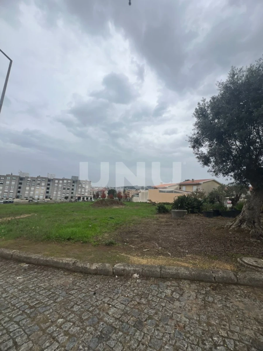 Terreno para Venda em São Paio de Oleiros