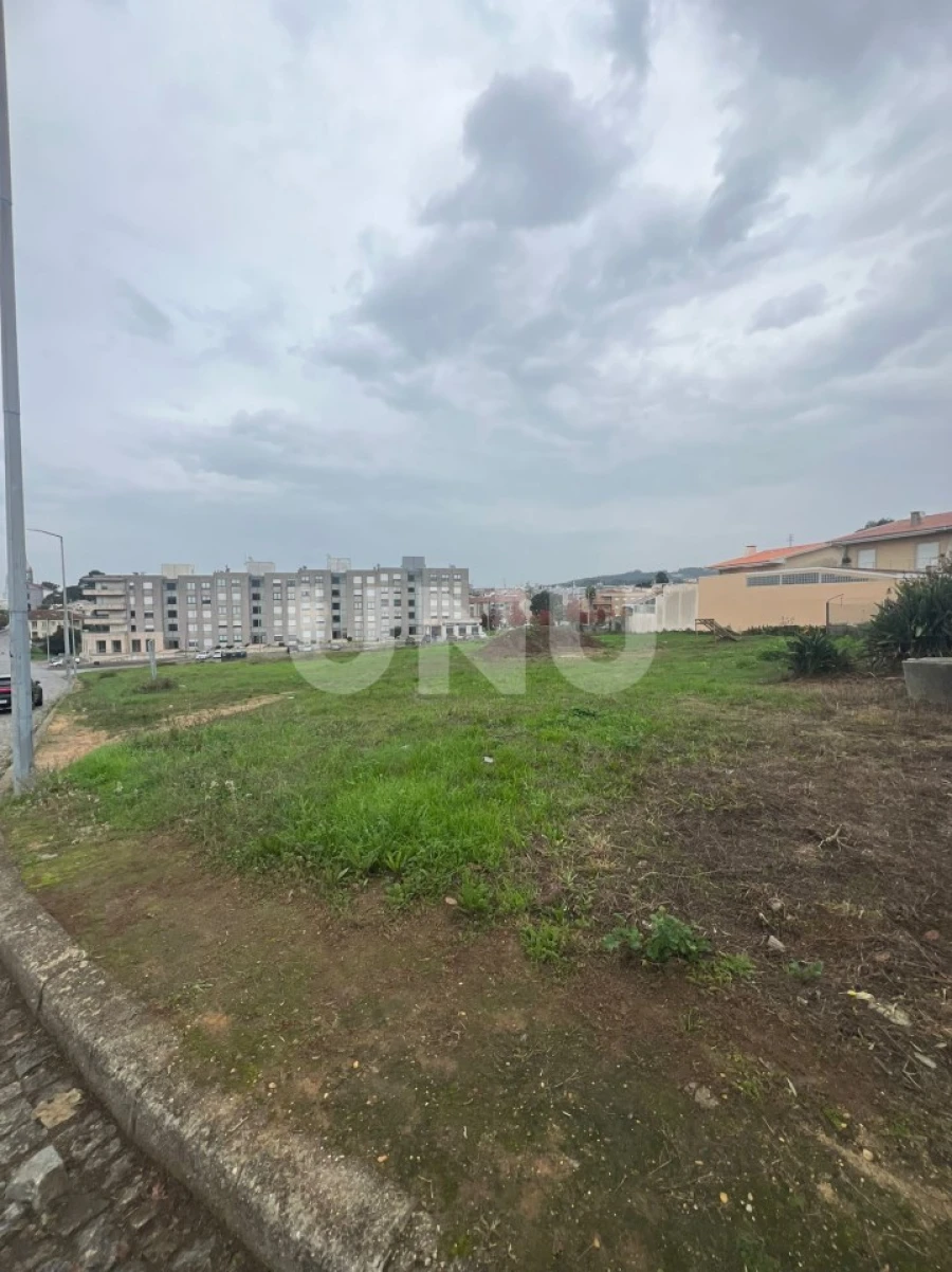 Terreno para Venda em São Paio de Oleiros