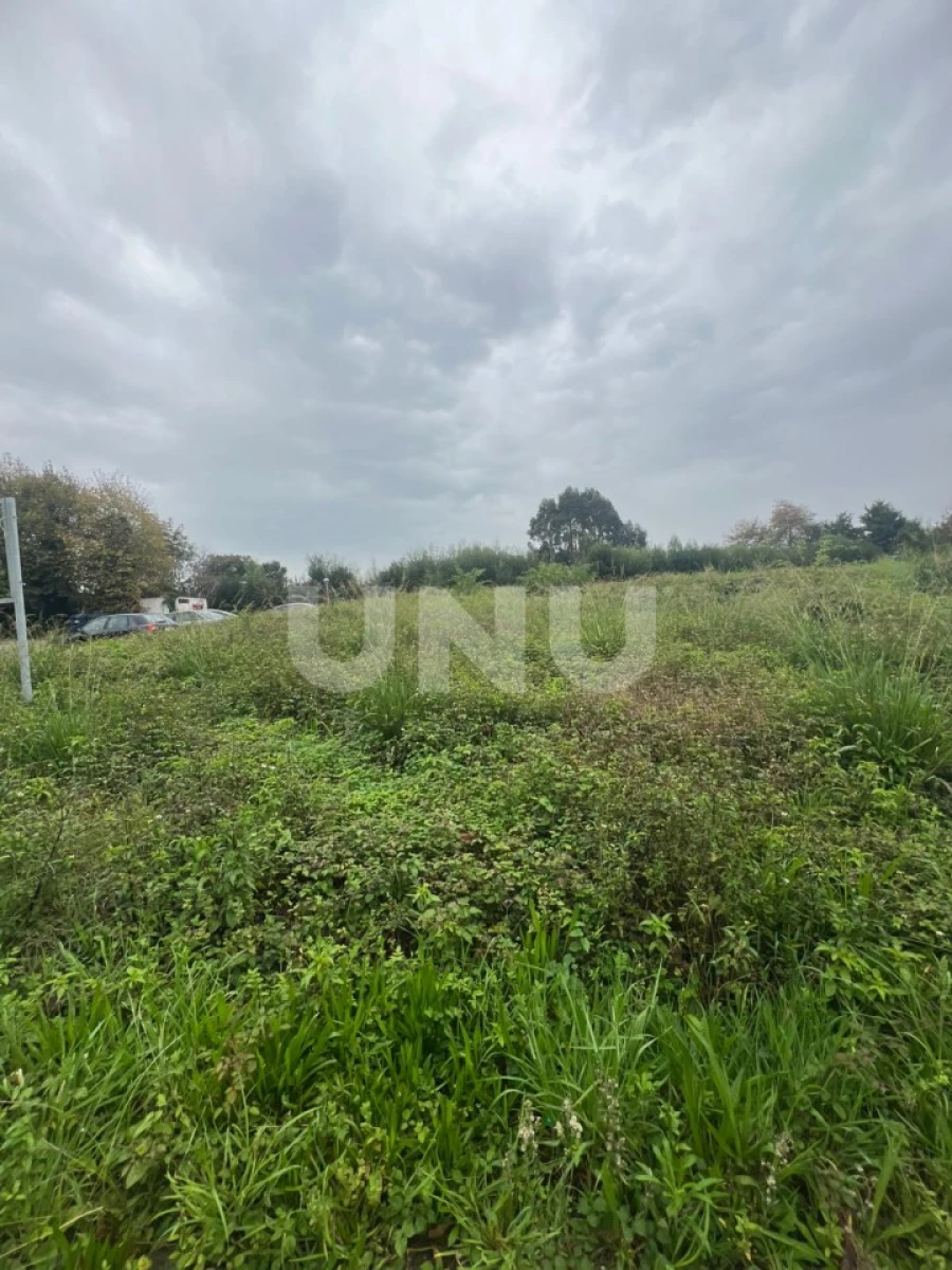 Terreno para Venda em Esmoriz Foto 3