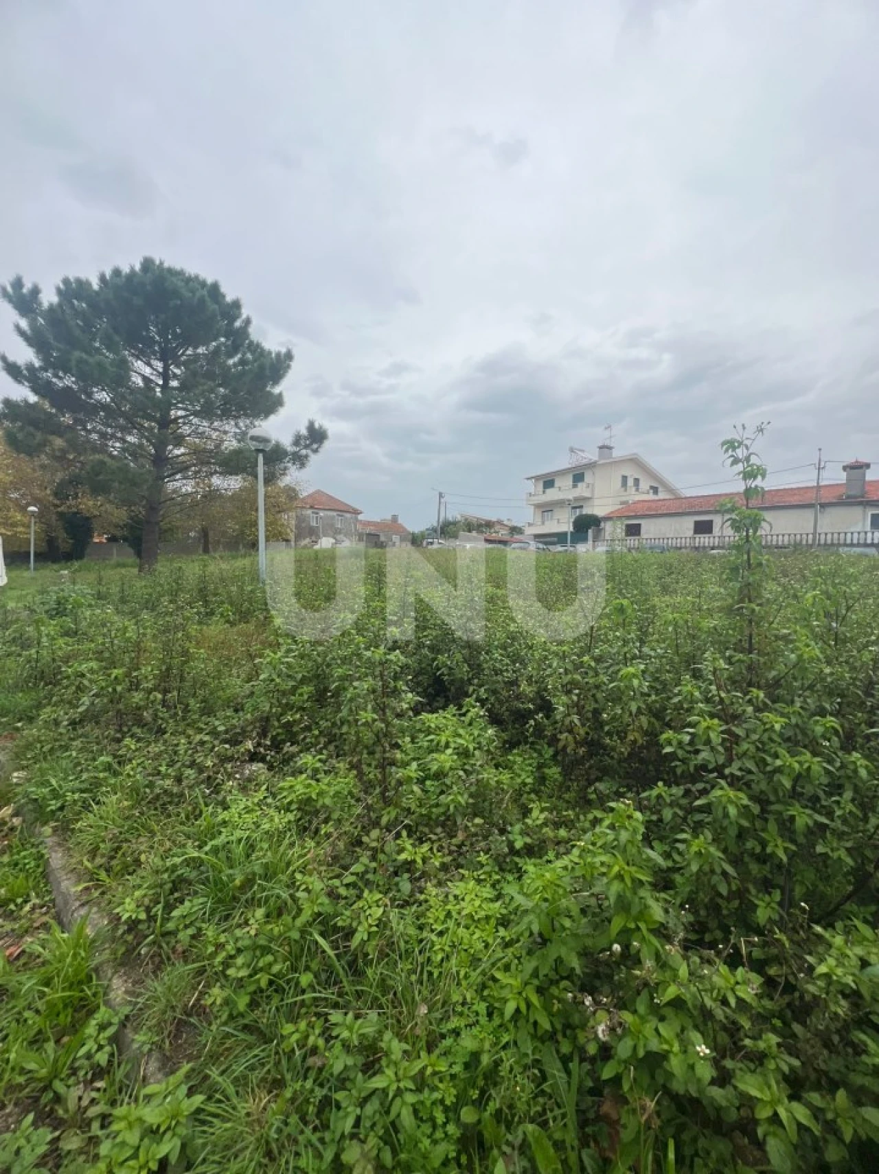 Terreno para Venda em Esmoriz Foto 4