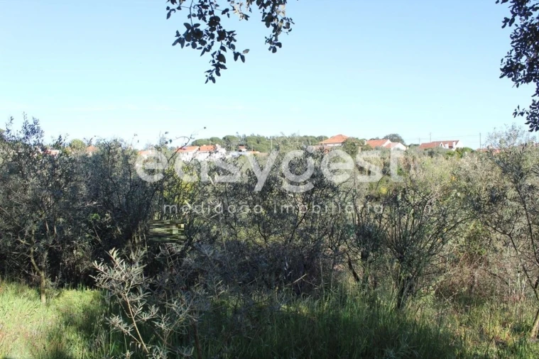 Terreno para Venda em Asseiceira Foto 5