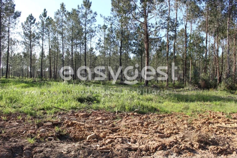 Terreno para Venda em Asseiceira Foto 10