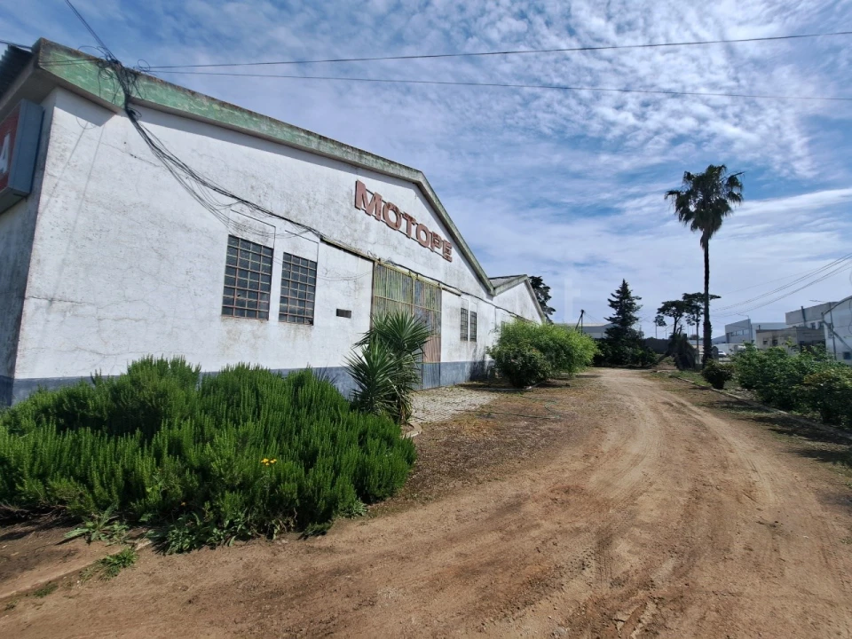 Armazém para Venda em Beja (Salvador e Santa Maria da Feira) Foto 21