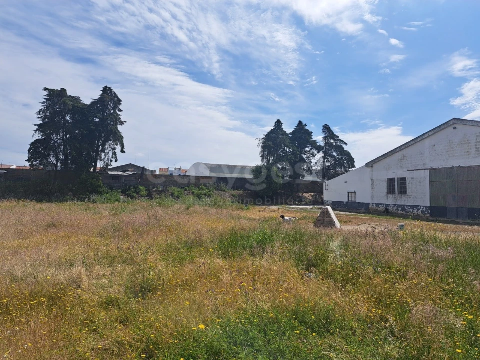 Armazém para Venda em Beja (Salvador e Santa Maria da Feira) Foto 27