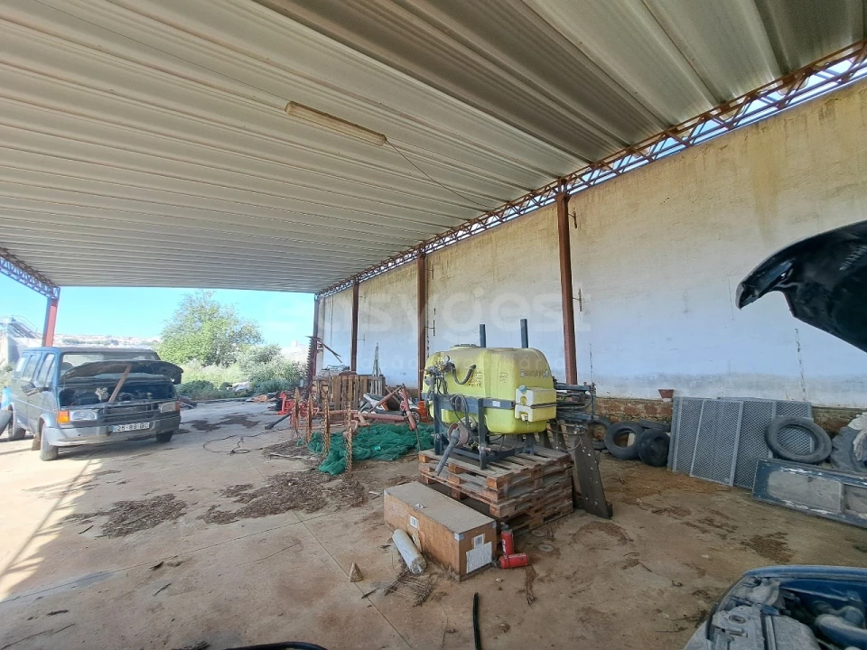 Armazém para Venda em Beja (Salvador e Santa Maria da Feira) Foto 31