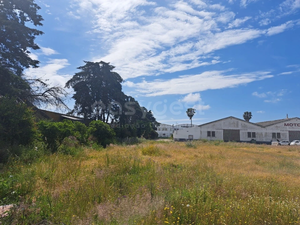 Armazém para Venda em Beja (Salvador e Santa Maria da Feira) Foto 33
