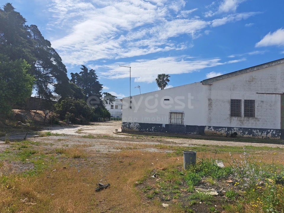 Armazém para Venda em Beja (Salvador e Santa Maria da Feira) Foto 34