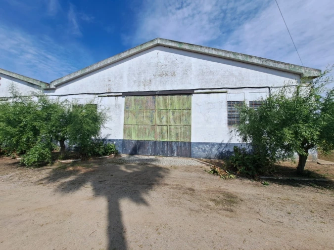 Armazém para Venda em Beja (Salvador e Santa Maria da Feira) Foto 2