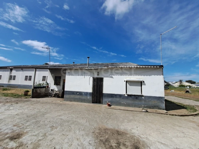Armazém para Venda em Beja (Salvador e Santa Maria da Feira) Foto 36