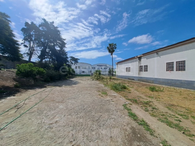 Armazém para Venda em Beja (Salvador e Santa Maria da Feira) Foto 37