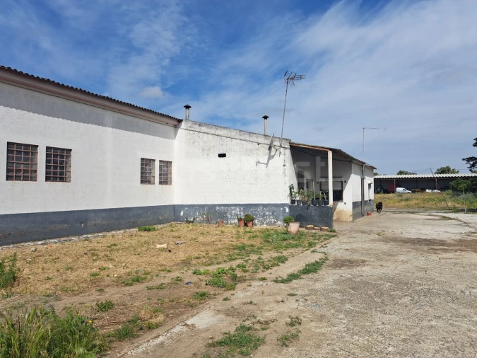 Armazém para Venda em Beja (Salvador e Santa Maria da Feira) Foto 38