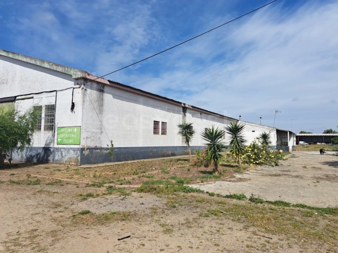 Armazém para Venda em Beja (Salvador e Santa Maria da Feira) Foto 40