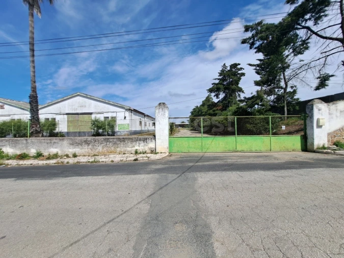 Armazém para Venda em Beja (Salvador e Santa Maria da Feira) Foto 41
