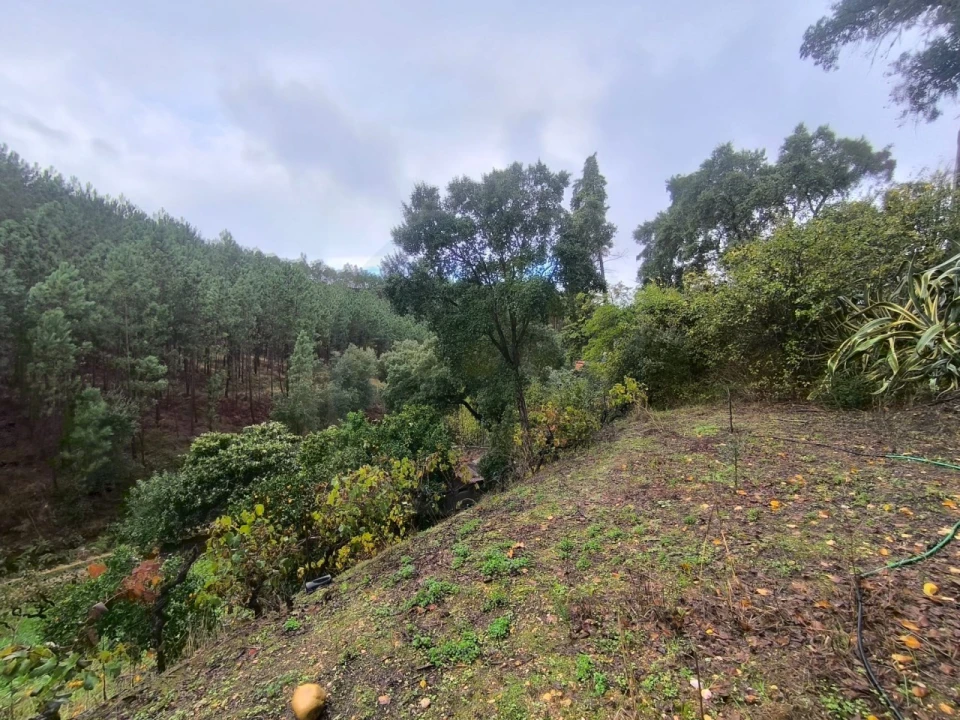 Terreno para Venda em Aldeia do Mato e Souto Foto 3