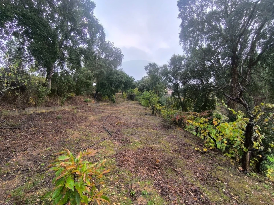 Terreno para Venda em Aldeia do Mato e Souto Foto 7
