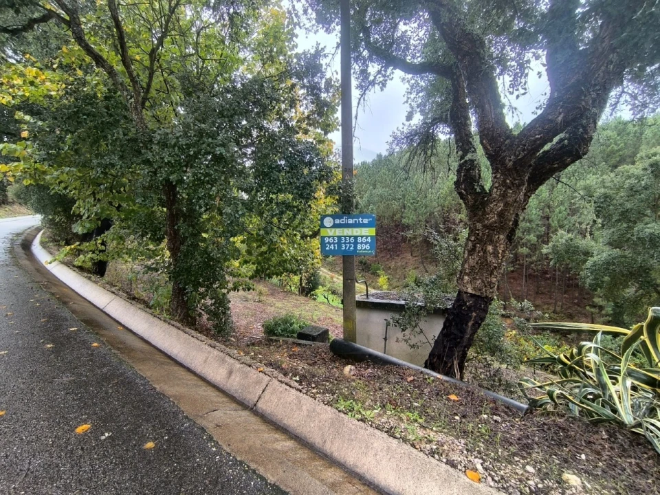 Terreno para Venda em Aldeia do Mato e Souto Foto 8