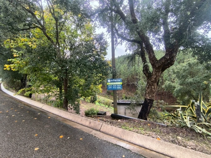 Terreno para Venda em Aldeia do Mato e Souto Foto 2