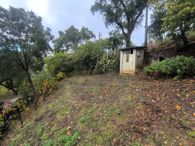Terreno para Venda em Aldeia do Mato e Souto Foto 4