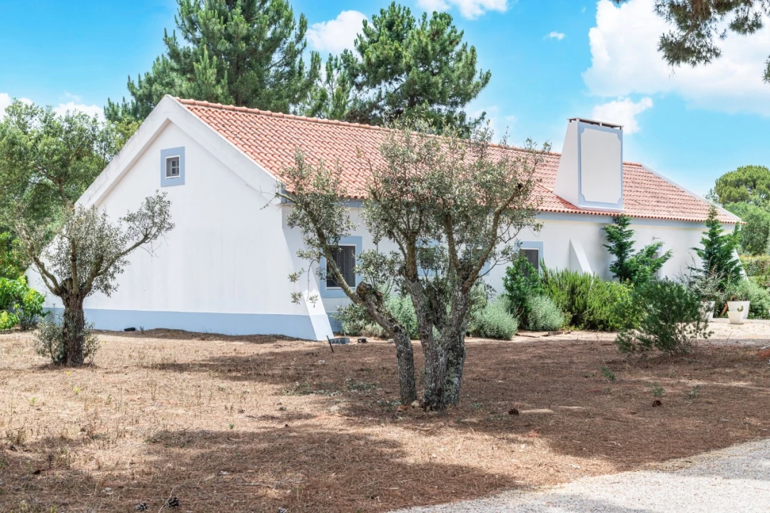 Moradia T4 para Venda em Melides Foto 15