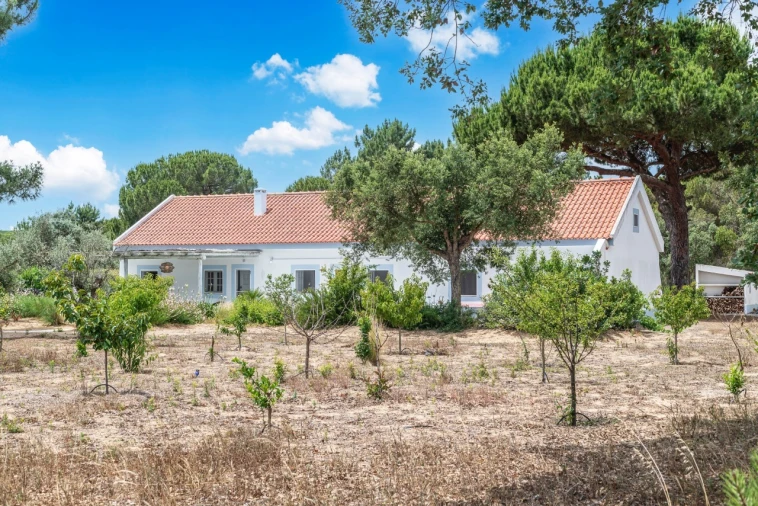 Moradia T4 para Venda em Melides Foto 4