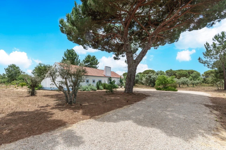 Moradia T4 para Venda em Melides Foto 14