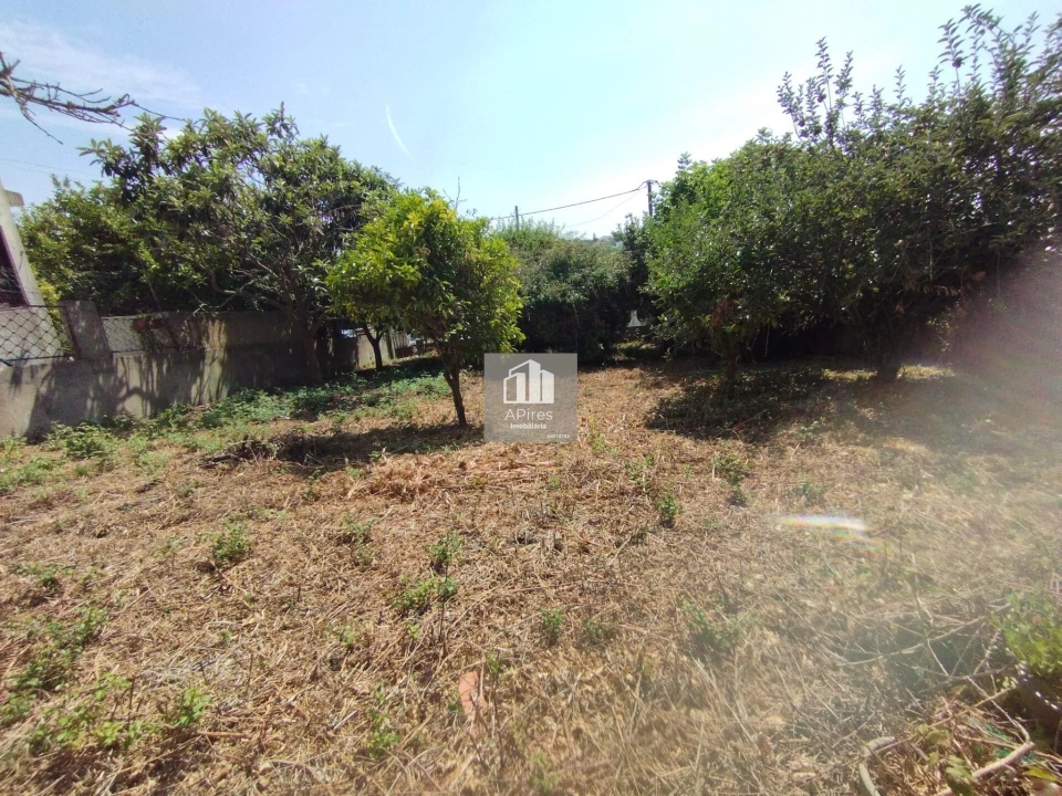 Terreno para Venda em Caparica e Trafaria Foto 8
