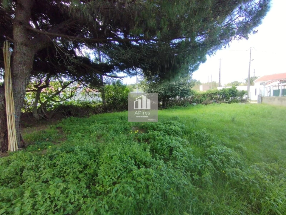 Terreno para Venda em Caparica e Trafaria Foto 2