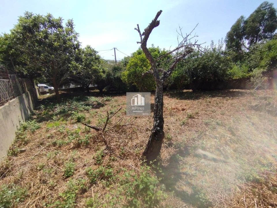 Terreno para Venda em Caparica e Trafaria Foto 4