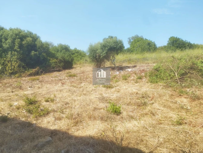 Terreno para Venda em Caparica e Trafaria Foto 19