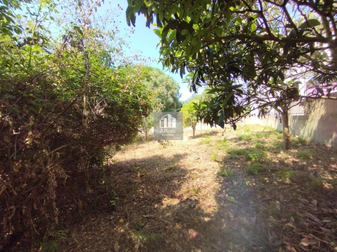 Terreno para Venda em Caparica e Trafaria Foto 12