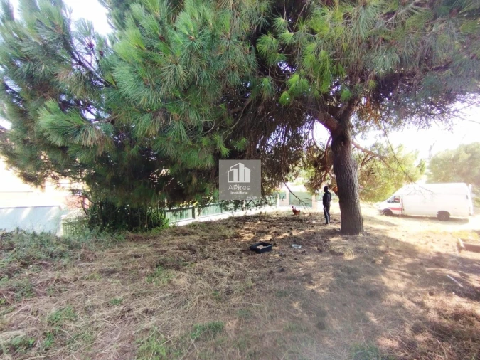 Terreno para Venda em Caparica e Trafaria Foto 20