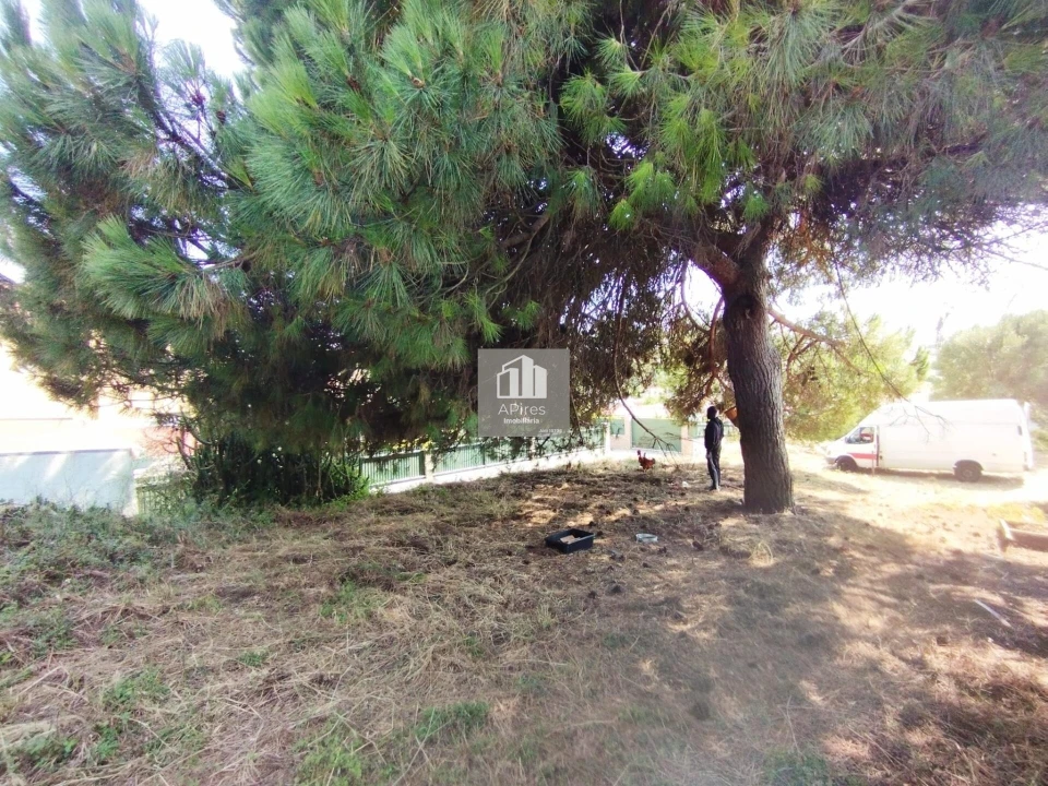 Terreno para Venda em Caparica e Trafaria Foto 20