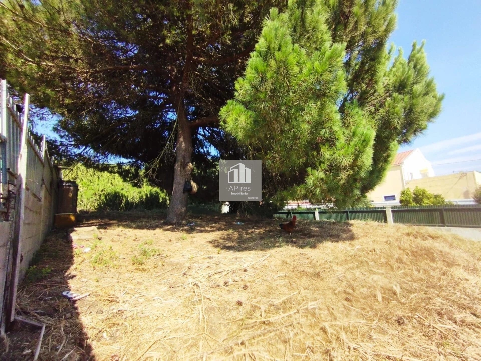 Terreno para Venda em Caparica e Trafaria Foto 7
