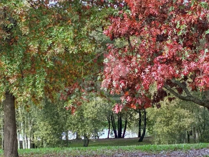 Apartamento T2 para Venda em Ponte Foto 15