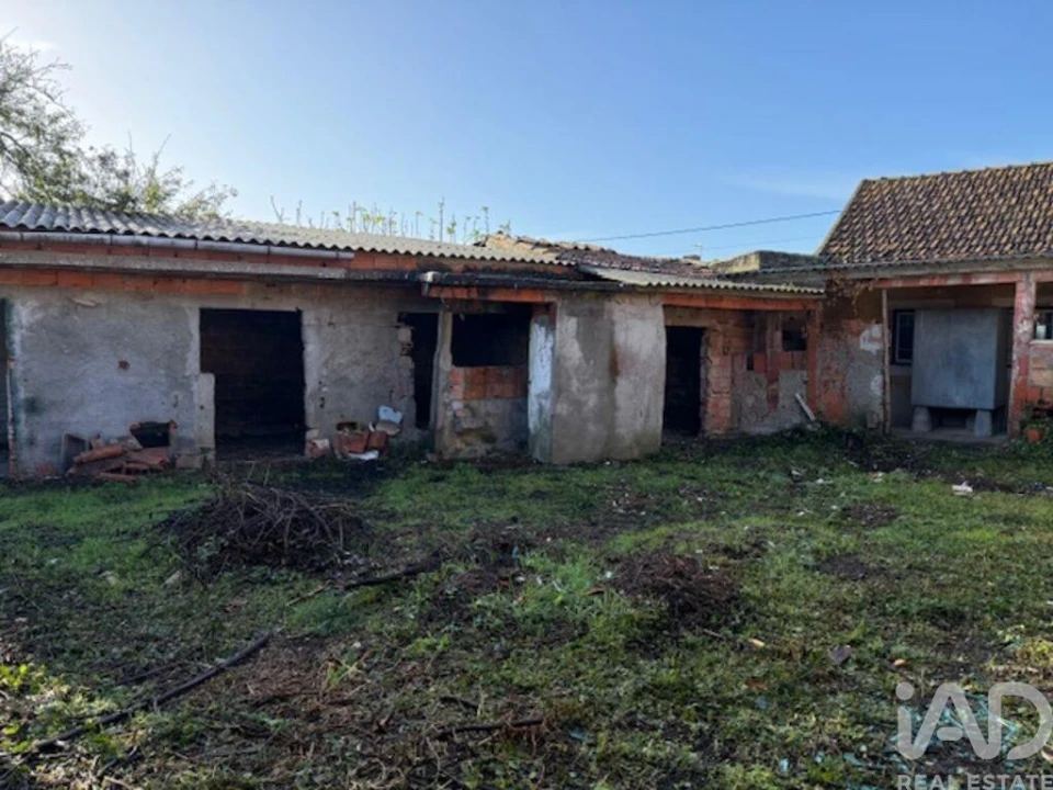 Moradia T3 para Venda em Monte Real e Carvide Foto 32