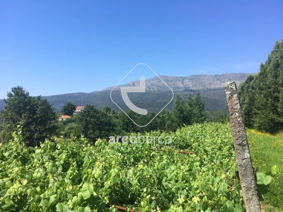 Quinta T2 para Venda em Cabração e Moreira do Lima Foto 27