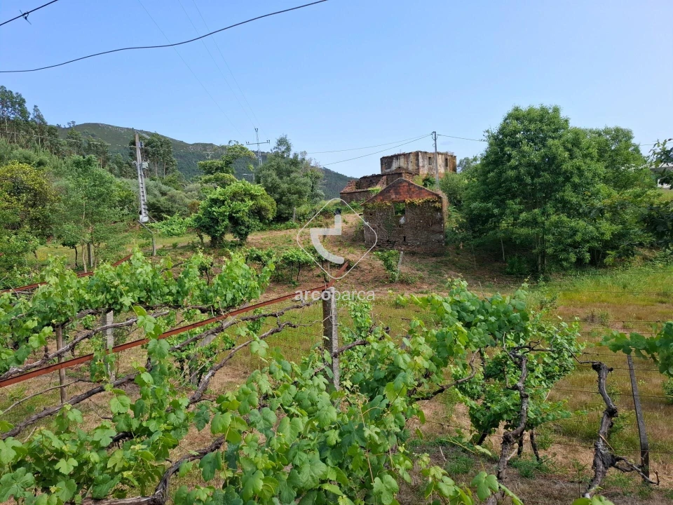 Quinta T2 para Venda em Cabração e Moreira do Lima Foto 14