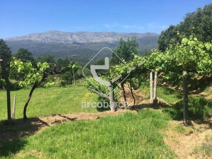 Quinta T2 para Venda em Cabração e Moreira do Lima Foto 30