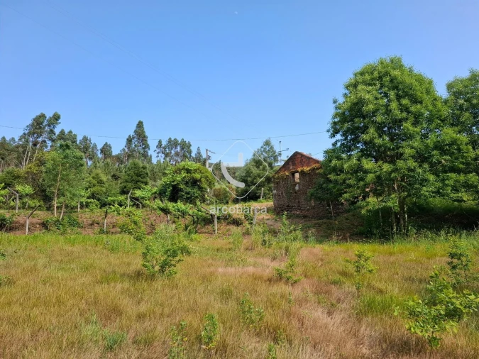 Quinta T2 para Venda em Cabração e Moreira do Lima Foto 5