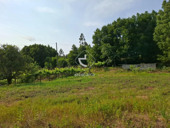 Quinta T2 para Venda em Cabração e Moreira do Lima Foto 17