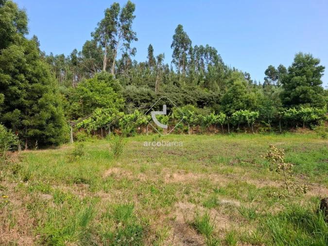 Quinta T2 para Venda em Cabração e Moreira do Lima Foto 15