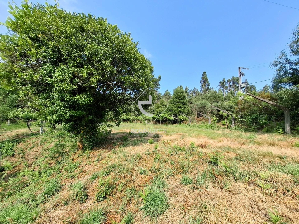 Quinta T2 para Venda em Cabração e Moreira do Lima Foto 2