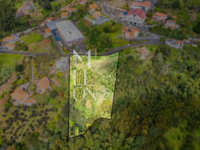 Terreno para Venda em São Gonçalo Foto 5